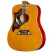 Epiphone 1963 Dove Reissue Left Handed - body