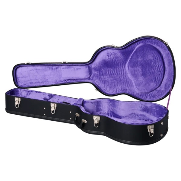 Epiphone 1963 Dove Reissue Left Handed - open case