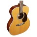 Martin 000E Retro Plus Granadillo - body