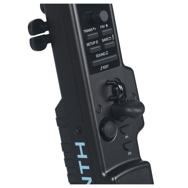 ASM Diosynth, Expressive Wind Instrument - Buttons and Joystick