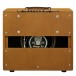 SYN-20IR Combo Tweed Back