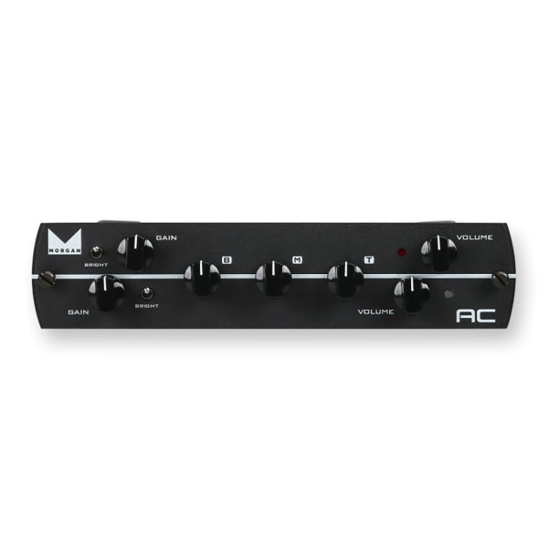 Synergy Morgan AC 2-Channel Preamp Module - front panel