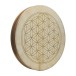 Meinl Sonic Energy 20