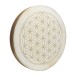 Meinl Sonic Energy 22