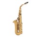 Leblanc LAS411 Alto Saxophone, Dark Lacquer - Back