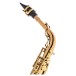 Leblanc LAS411 Alto Saxophone, Dark Lacquer - Neck