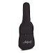 Antiquity Electric Guitar Accessory Package - Bag Front