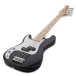 Antiquity Mini Pb Bass, Horizontal