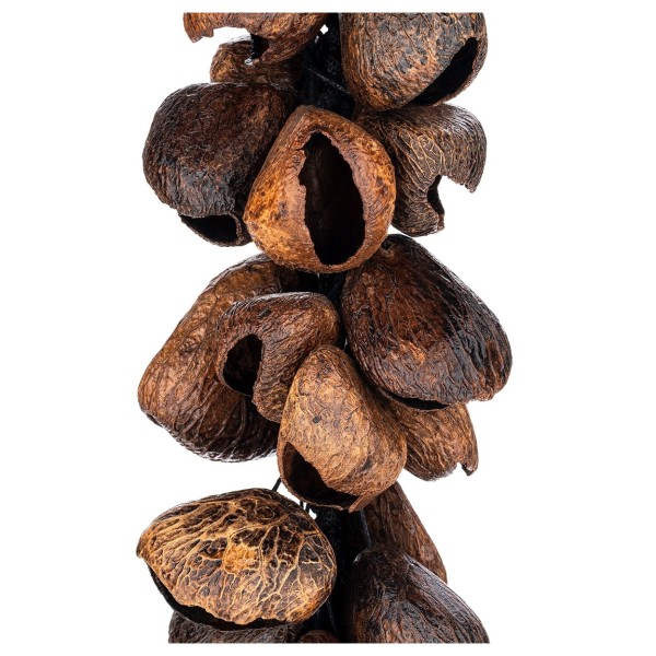 Meinl Percussion Pangi Waterfall Shaker, 40 Seeds