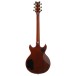 Ibanez AR625FMSP, Caramel Burst Low Gloss - back