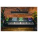 Moog Matriarch life style