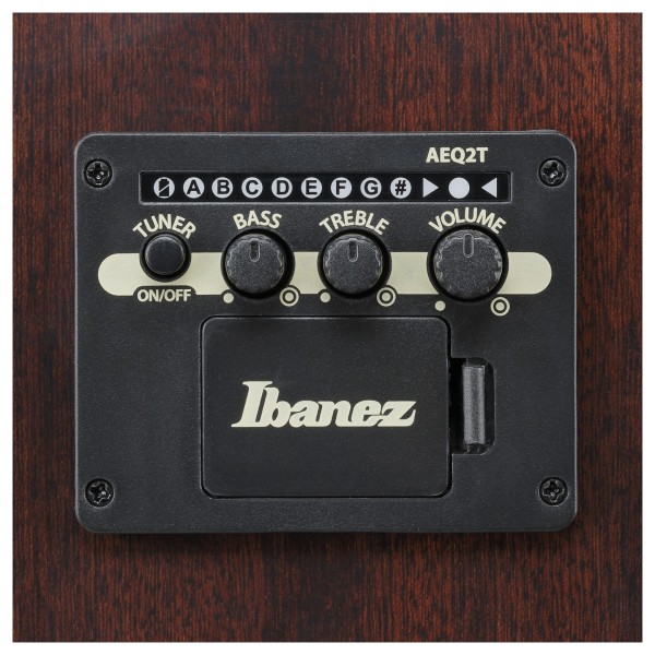 Ibanez ALT50FA, Blue Doom Burst - controls