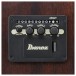 Ibanez ALT50FA, Blue Doom Burst - controls