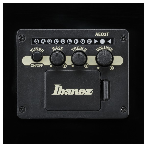 Ibanez ALT50FA, Red Doom Burst - controls