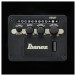 Ibanez ALT50FA, Red Doom Burst - controls