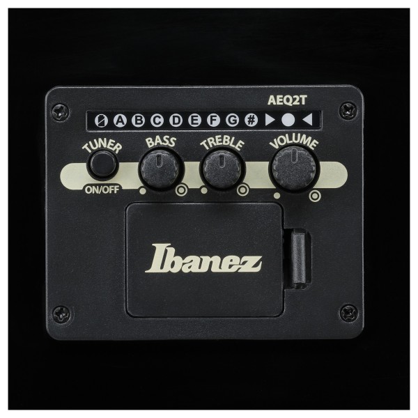Ibanez ALT50FA, Transparent Violet Sunburst - controls