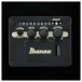 Ibanez ALT50FA, Transparent Violet Sunburst - controls