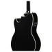Ibanez TCY10PA, Transparent Brown Black Burst - back of body