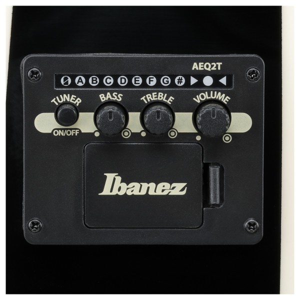 Ibanez TCY10PA, Transparent Brown Black Burst - controls