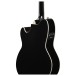 Ibanez TCY10PA, Cosmic Blue Starburst - back of body