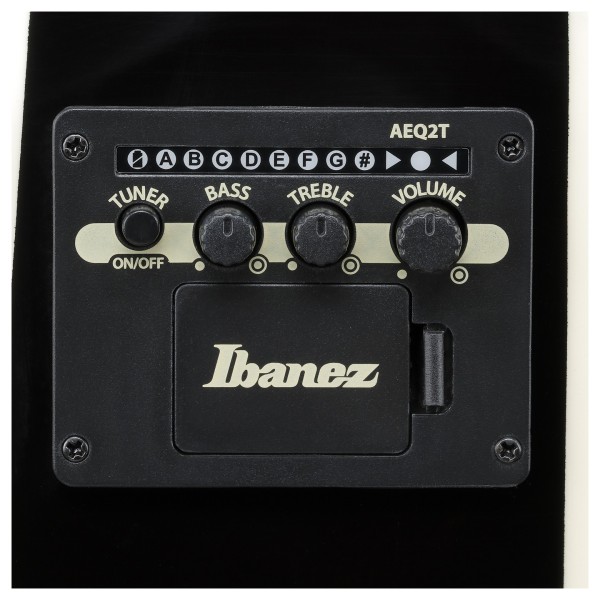 Ibanez TCY10PA, Cosmic Blue Starburst - controls