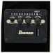 Ibanez TCY10PA, Cosmic Blue Starburst - controls