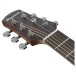 Ibanez AAD54E Advanced Acoustic, Open Pore Mahogany Sunburst - headstock