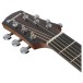 Ibanez AAD51CE Advanced Acoustic, Natural High Gloss - headstock