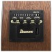 Ibanez AC390MHE Artwood, Open Pore Natural - controls