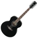 Ibanez AJ7012M1E Artwood 12-String, Black