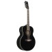 Ibanez AJ7012M1E Artwood 12-String, Black - side view