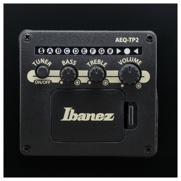 Ibanez AJ7012M1E Artwood 12-String, Black - controls