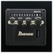 Ibanez AJ7012M1E Artwood 12-String, Black - controls