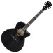 Ibanez AE170, Transparent Black