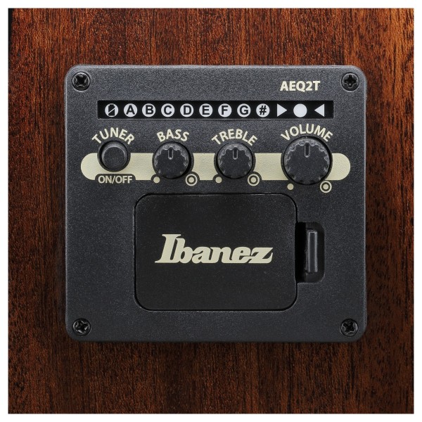 Ibanez AEWC16QA, Transparent Emerald Burst - controls