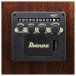 Ibanez AEWC16QA, Transparent Emerald Burst - controls