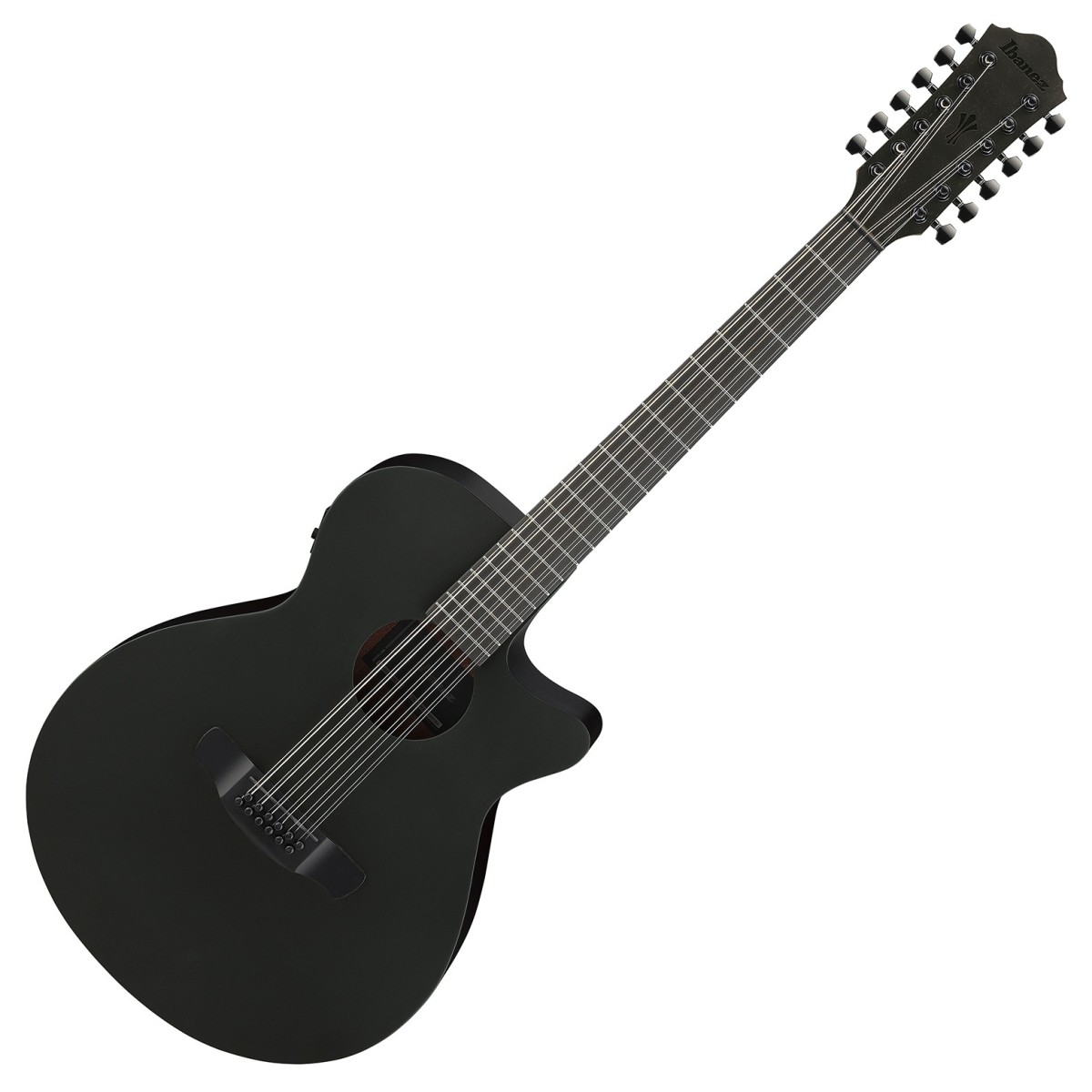 Click to view product details and reviews for Ibanez Aeg1221 12 String Black Out.