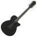 Ibanez AEG1221 12-String, Black Out