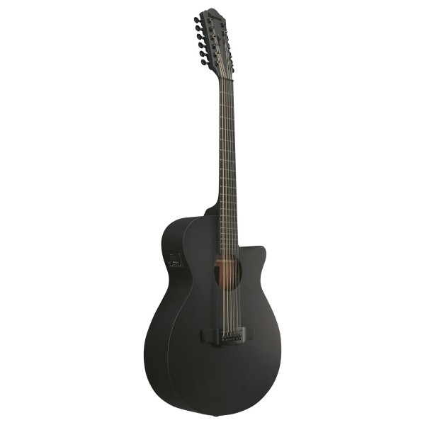 Ibanez AEG1221 12-String, Black Out - side view