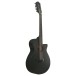 Ibanez AEG1221 12-String, Black Out - side view