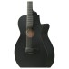 Ibanez AEG1221 12-String, Black Out - body