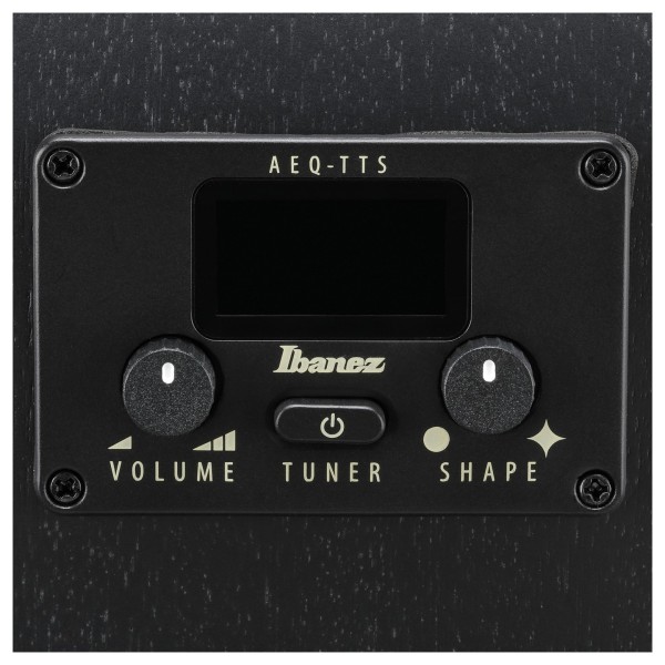 Ibanez AEG1221 12-String, Black Out - controls