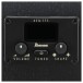 Ibanez AEG1221 12-String, Black Out - controls
