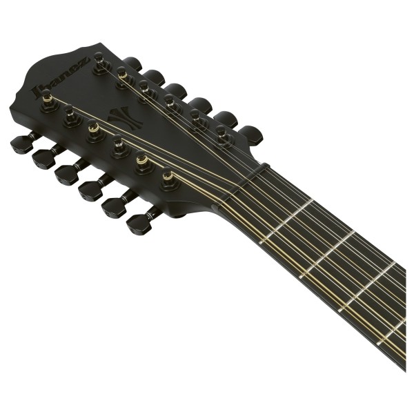 Ibanez AEG1221 12-String, Black Out - headstock