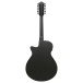 Ibanez AEG1221 12-String, Black Out - back
