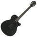Ibanez AEG621, Black Out
