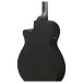 Ibanez AEG621, Black Out - back of body