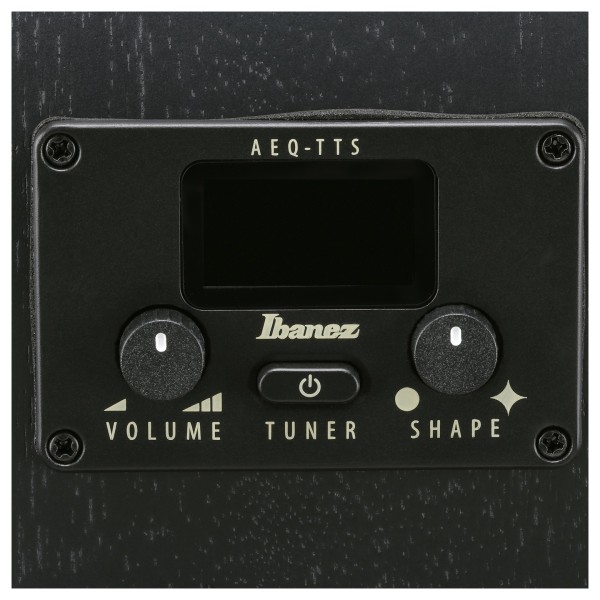 Ibanez AEG621, Black Out - controls