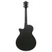 Ibanez AEG621, Black Out - back