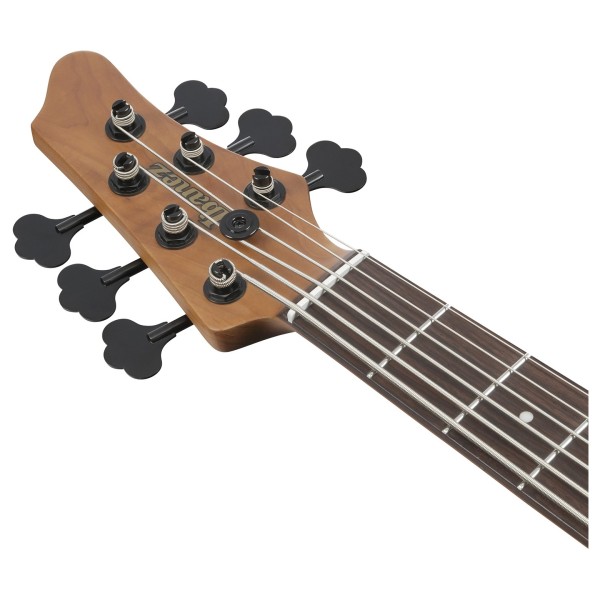 Ibanez MDM1606 Mode, Natural Mocha Low Gloss - headstock
